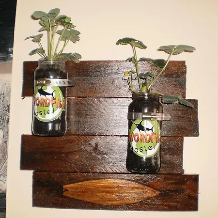 בית נופש Swordfish Eco-house