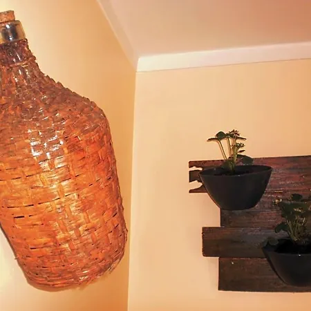 Casa de Férias Swordfish Eco-house *