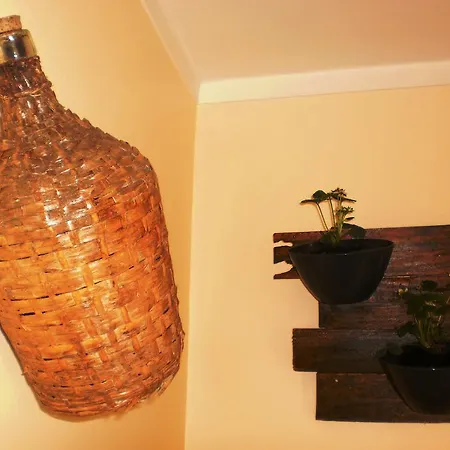 Vakantiehuis Swordfish Eco-house *